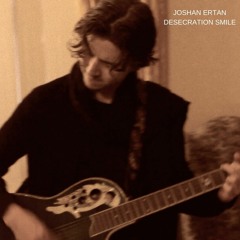 Desecration Smile - Red Hot Chili Peppers (Joshan Cover)