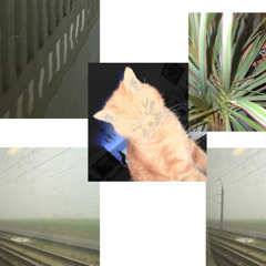 Lampparade.wav.asd.wav