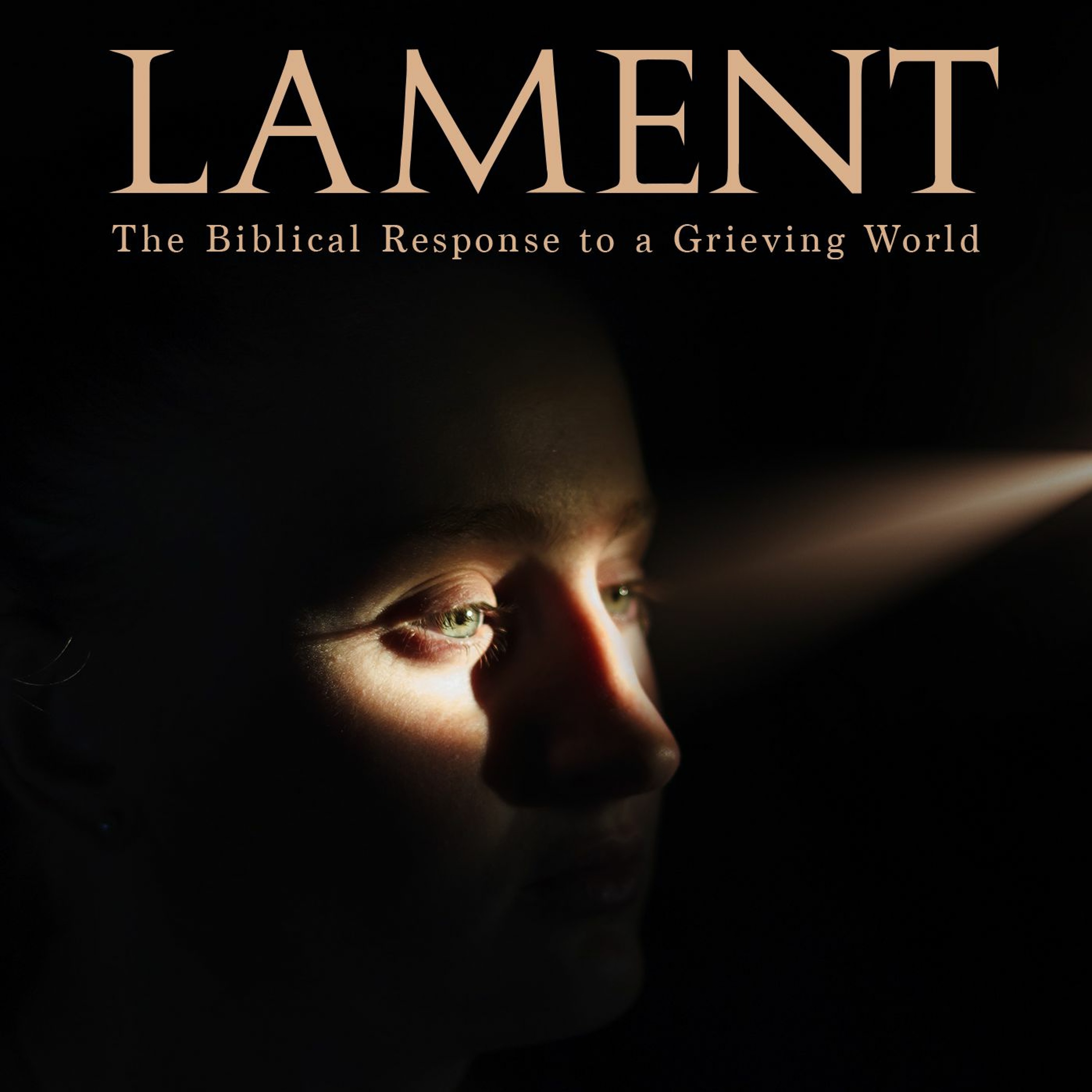 Lament - The Biblical Response to a Grieving World episode artwork