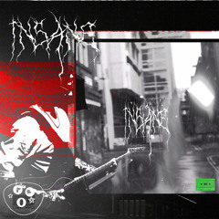 INSANE [radkoun + thislandis] *MV in descript