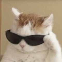:3
