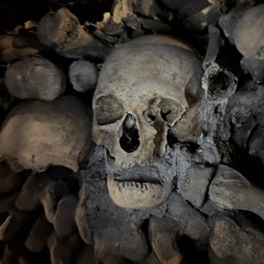 School with Schafter