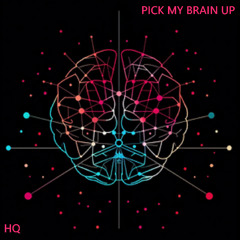 Pick My Brain Up - Panoramic LP