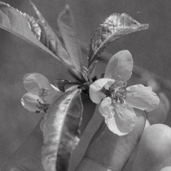 Clara ep. 2 @etikett radio