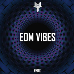 EDM Vibes 2023  Electronic & House Music | lickndip | fine day anthem skrillex