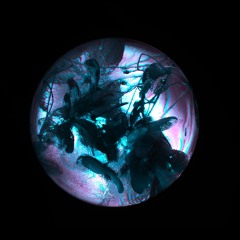 HopsainRadio™ Ep. 127 || Homecoming Edition