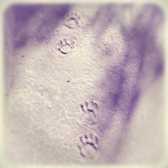 You really like sweets, don't you?