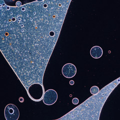 Glow (Foam and Sand Rework)