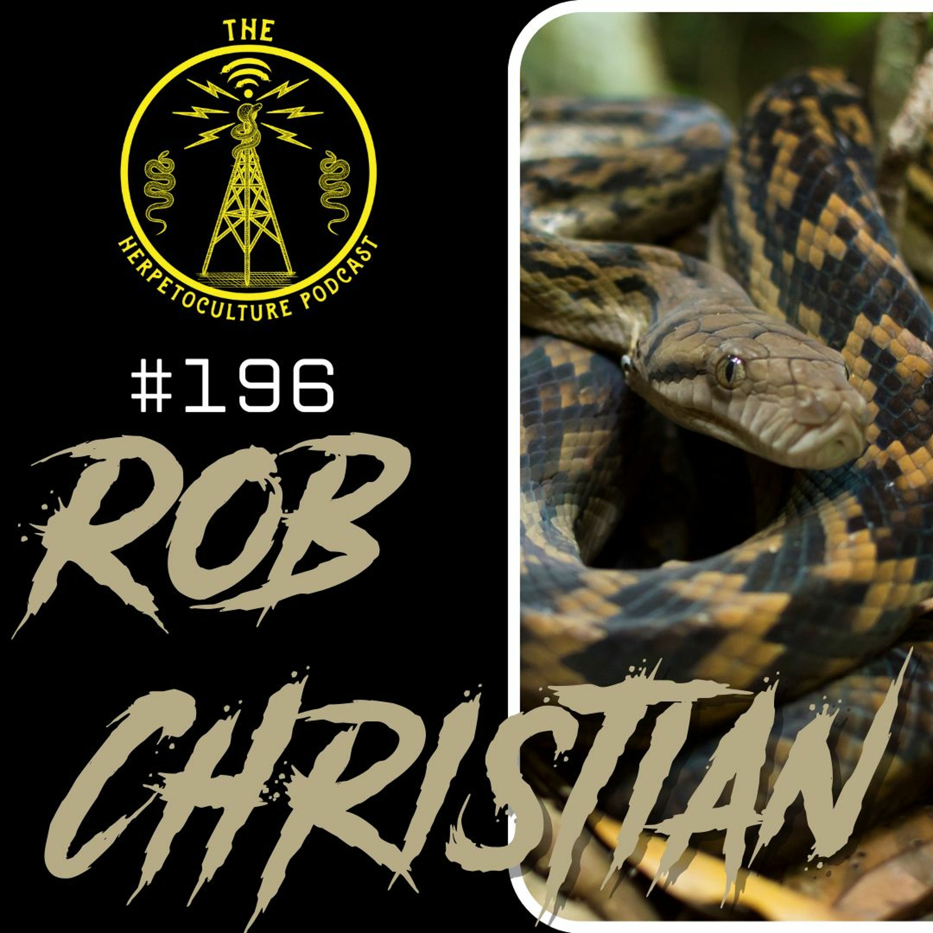 Rob Christian | THP - #196