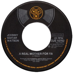 Johnny guitar Watson - A real mother for ya (Robby bergmann remix)