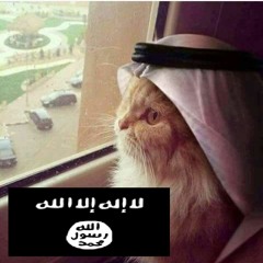 Islamic Cat The  Hero Terrorist
