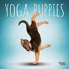 download EBOOK 💕 Yoga Puppies OFFICIAL | 2023 7 x 14 Inch Monthly Mini Wall Calendar