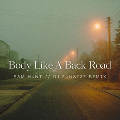 Sam Hunt - Body Like A Back Road (DJ Funsize Remix)