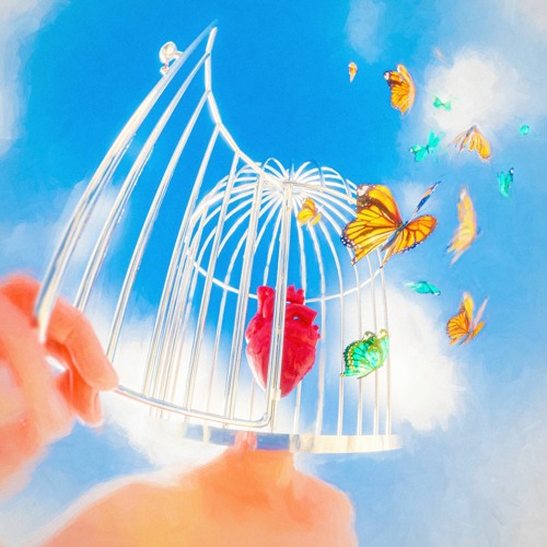 Set You Free