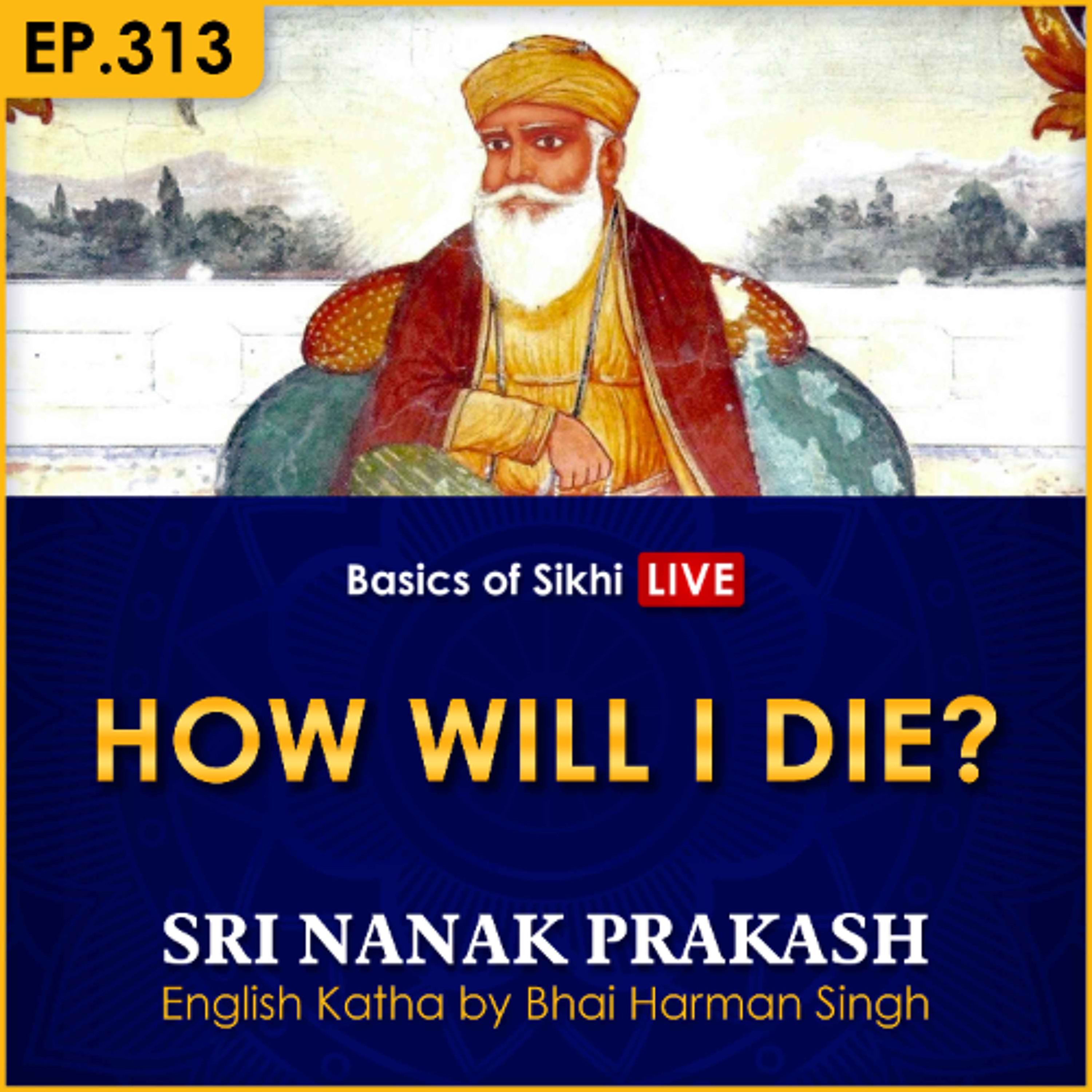 #313 How Will I Die? | Sri Nanak Prakash Katha | Bhai Harman Singh episode artwork