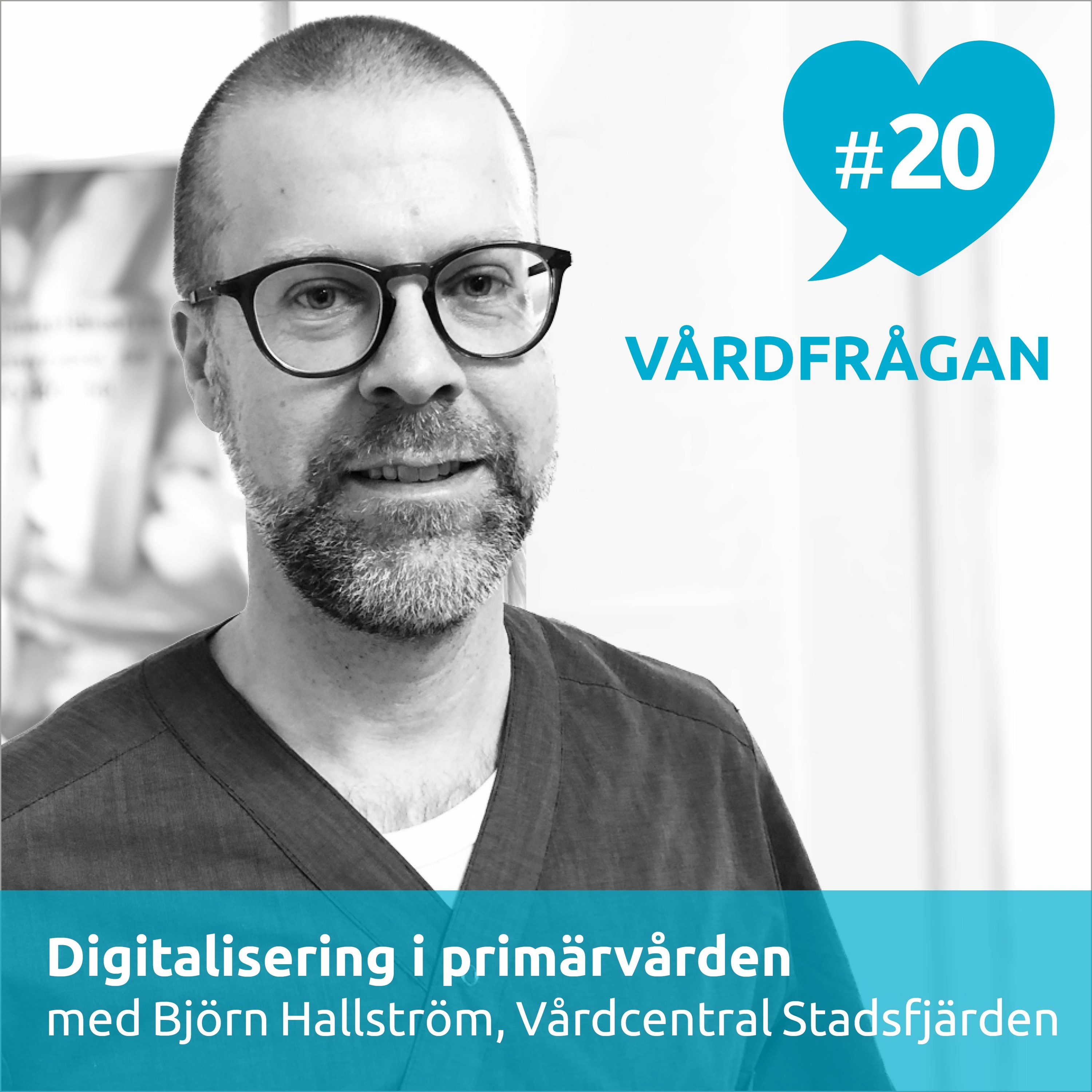 Vårdfrågan