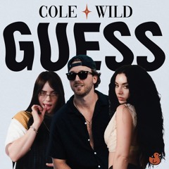 Charli xcx Ft. Billie Eilish - Guess (Cole Wild Remix)