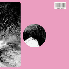 Yotam Avni - Ritmos - WAV