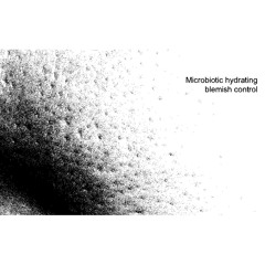 Microbiotic hydrating blemish control