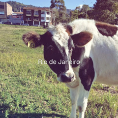 LA ESCENA JARCOR  KEMASINTA CACHETONA MED.
