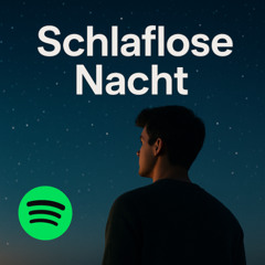 Schlaflose Nacht ( Spotify Edit. )