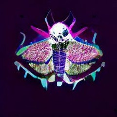 The Moth Effect (feat. Bidocea)