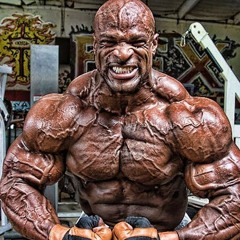 RAIVA! (3000% + bass, nightfxrce)