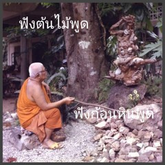ฟังต้นไม้พูด ฟังก้อนหินพูด