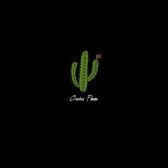 Cactus Flower(Prod. Solo Otto)
