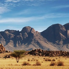 Project All Instruments