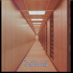 THE STORY OF US SPRING STREET FLIP