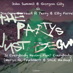 Is Everybody Having Fun? Everybody (Margo G, PsychNerD & SACE Mashup)