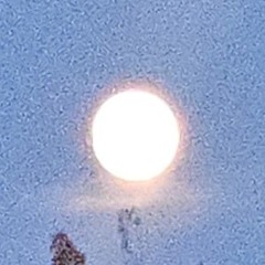 Dreaming (Prod. legos)