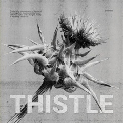 THISTLE