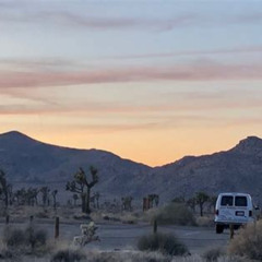 Review Special Price Joshua Tree National Park Driving Tour
