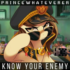 PrinceWhateverer - Know Your Enemy
