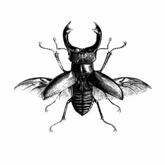 RELEASE YOUR BODY || Techno Set  (07.2021)