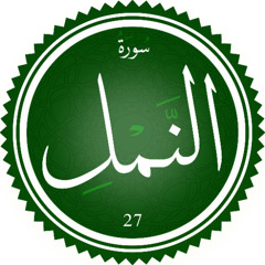 سورة النمل  - محمد عبد الهواب الطنطاوي تلاوة خاشعة