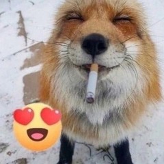 Underscore - Sheaskedmeifilikespeedcore