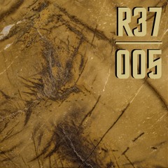 R37 Podcast 005 | LUZI
