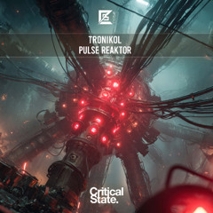 Pulse Reaktor (Extended Mix)