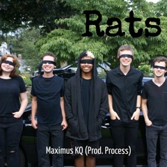 Rats-Maximus KQ