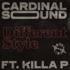 Different Style (feat. killa P)