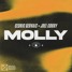 Cedric Gervais, Joel Corry - MOLLY (Deep Rooted Tree Remix)