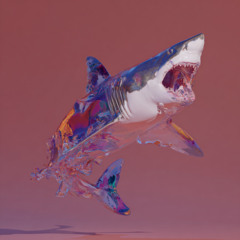 Shark at the Table
