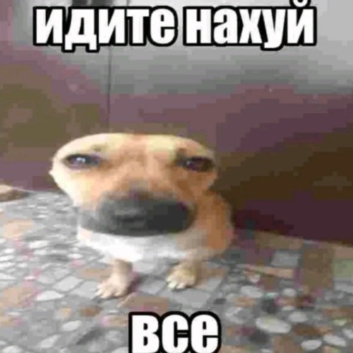 Stream виталя | Listen to я дура тупая playlist online for free on ...