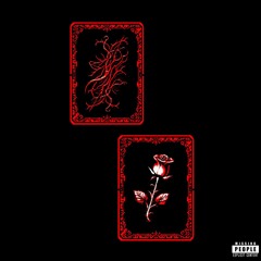 If The Afterlife Is Full, Why Are My Friends Still Dying? (prod. sobernap**)