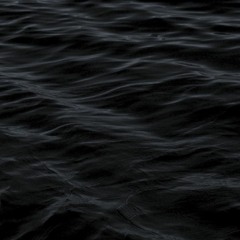 Under The Sea