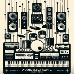 Audioelectronic Live in Texas 2001