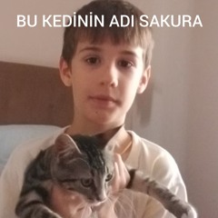 BU KEDİNİN ADI SAKURA